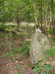 Tragstein des jungsteinzeitlichen Großsteingrabes