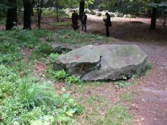 Großsteingrab IV