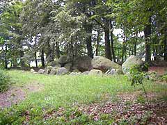 Großsteingrab III